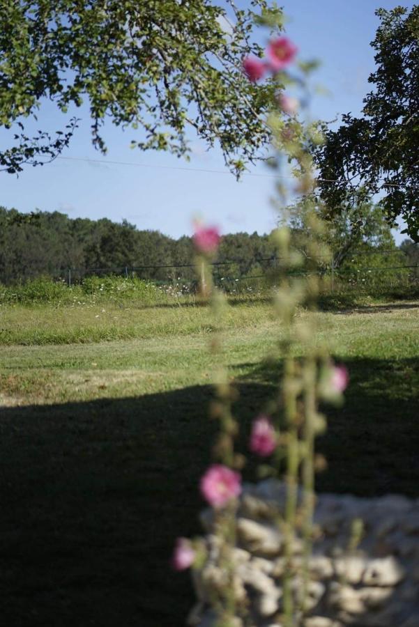 Bed & Breakfast Mabelle Reve Saint-Pierre-de-Cole