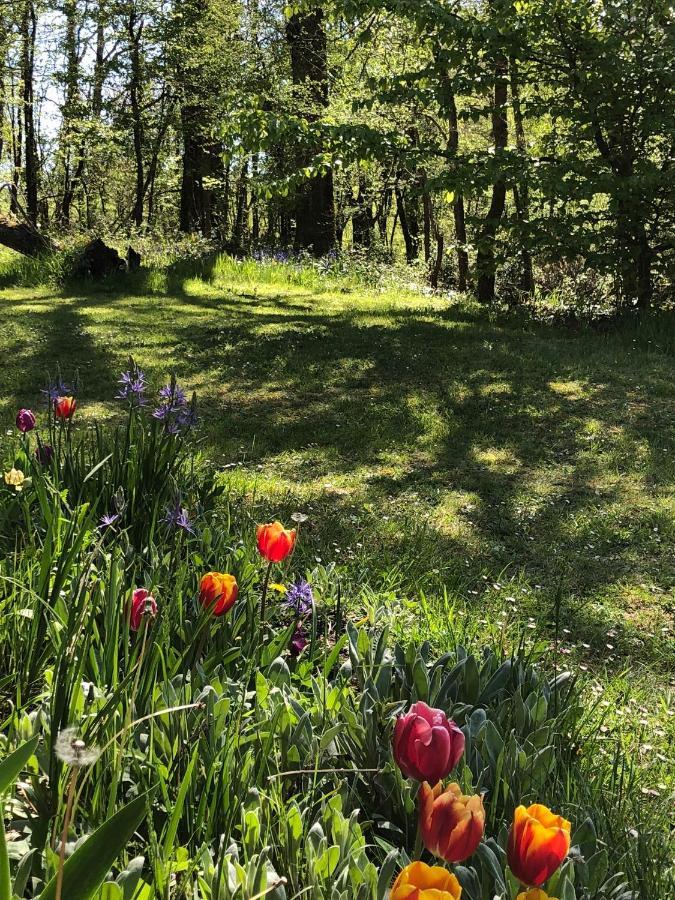 Bed & Breakfast Mabelle Reve