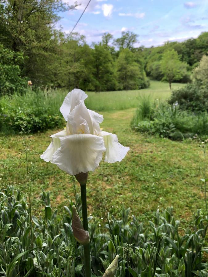 Mabelle Reve Bed & Breakfast Saint-Pierre-de-Cole